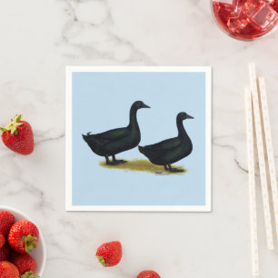 Enten: Schwarze Cayugas Serviette