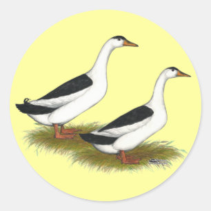 Enten: Schwarze Magpies Runder Aufkleber