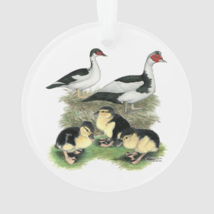 Enten Schwarze Pied Muscovy-Familie Ornament