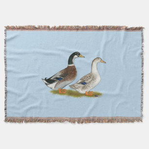 Enten: Silbergarten Decke