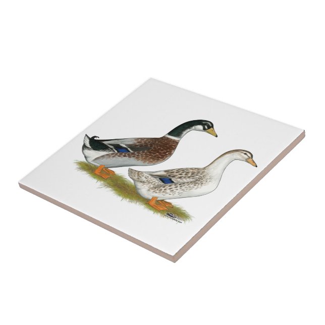 Enten: Silbergarten Fliese (Seite)