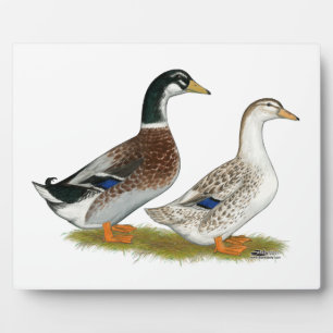 Enten: Silbergarten Fotoplatte