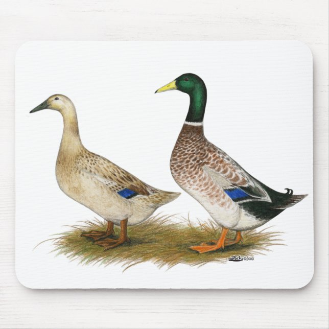 Enten: Silberwalisisches Harlequin Mousepad (Vorne)