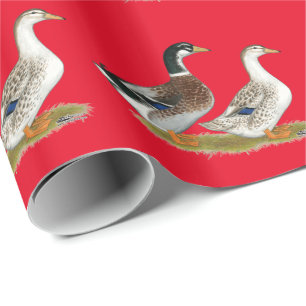 Enten:  Silver Appleyard Geschenkpapier