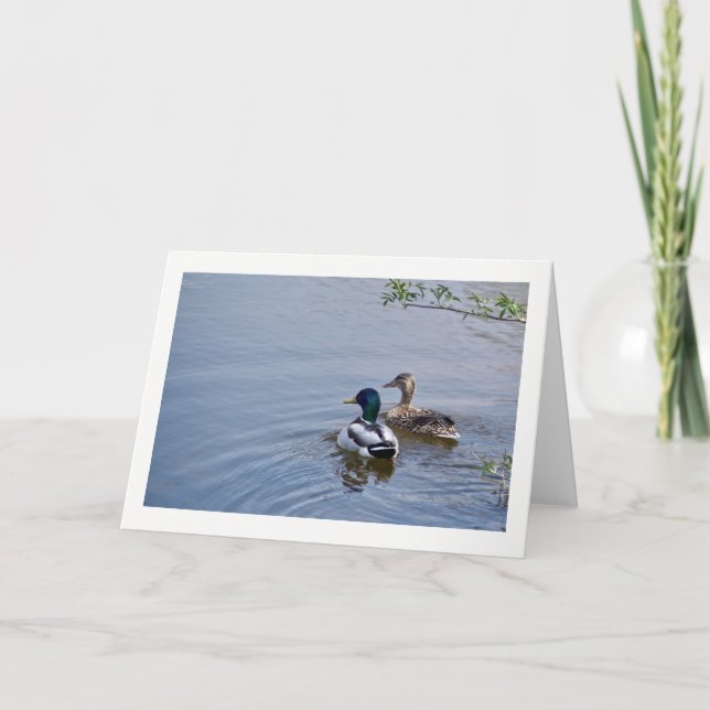 Enten-Teich-Gruß-Karte Karte (Vorderseite)