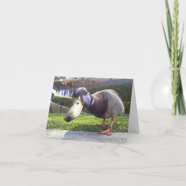 "Enten-Treffen " Karte (Vorderseite)