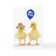 Enten und Ballon Geburtstag