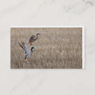 Enten-Visitenkarte Visitenkarte