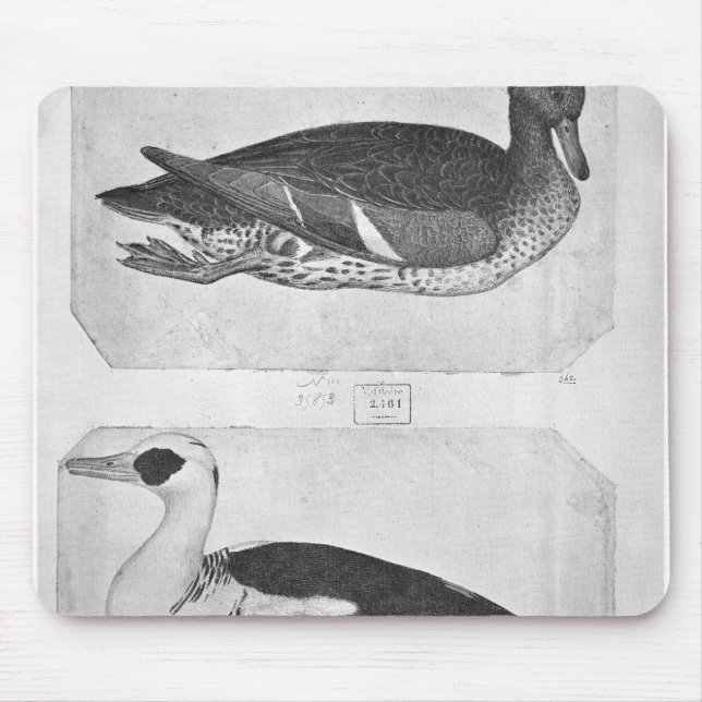 Enten, vom Vallardi Album Mousepad (Vorne)