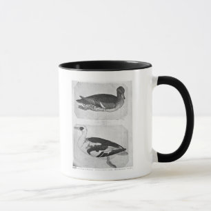 Enten, vom Vallardi Album Tasse