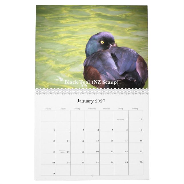Enten von Neuseeland Kalender (Jan 2027)