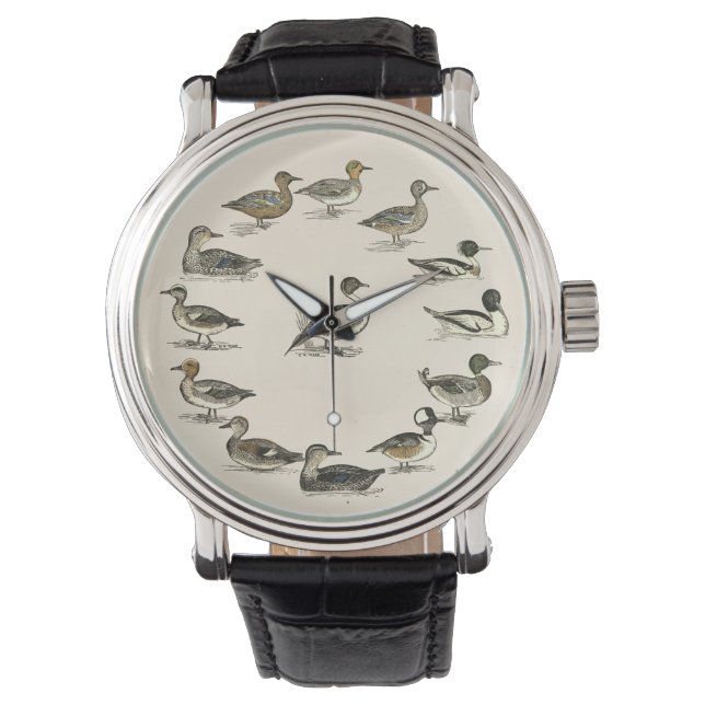 Enten von Nordamerika Illustrationen Armbanduhr (Vorderseite)