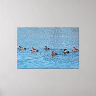 Enten von sechs leinwanddruck