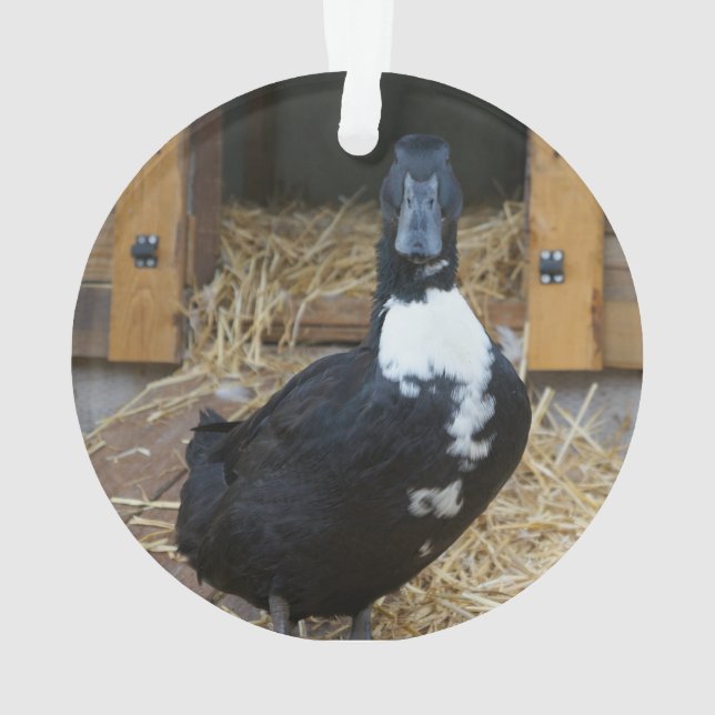 Enten-Weihnachtsverzierung Ornament (Rückseite)