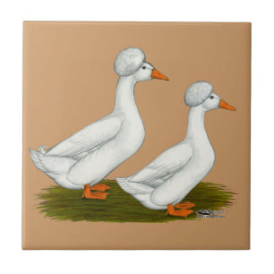 Enten: weiß gekreischt fliese
