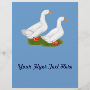 Enten:  White Pekins Flyer