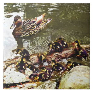 Entenfamilie Fliese