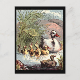 Entenfamilie Postkarte