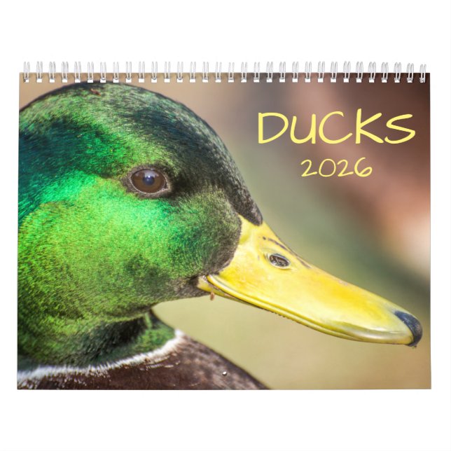 Entenfotografie 2026 kalender (Titelbild)