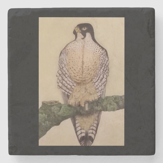 Entenhawk Stone Untersetzer (Vorderseite)