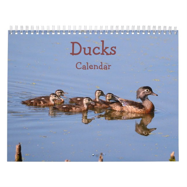 Entenkalender Kalender (Titelbild)