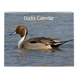 Entenkalender Kalender