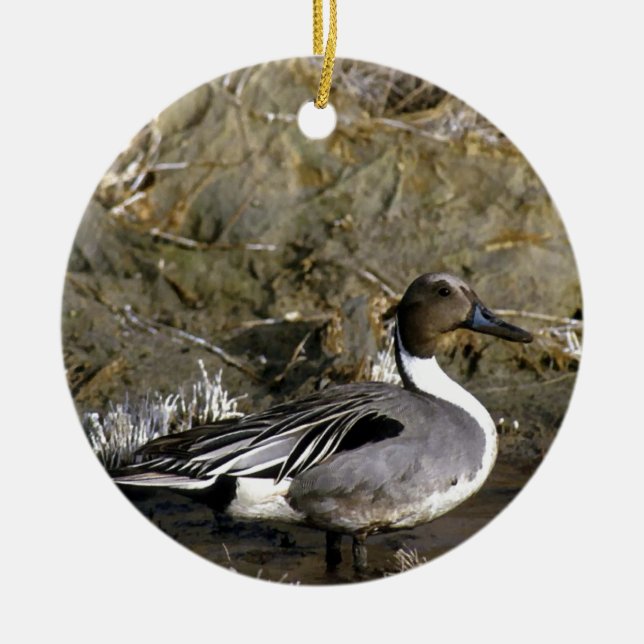 Entenliebhaber Keramikornament (Vorne)