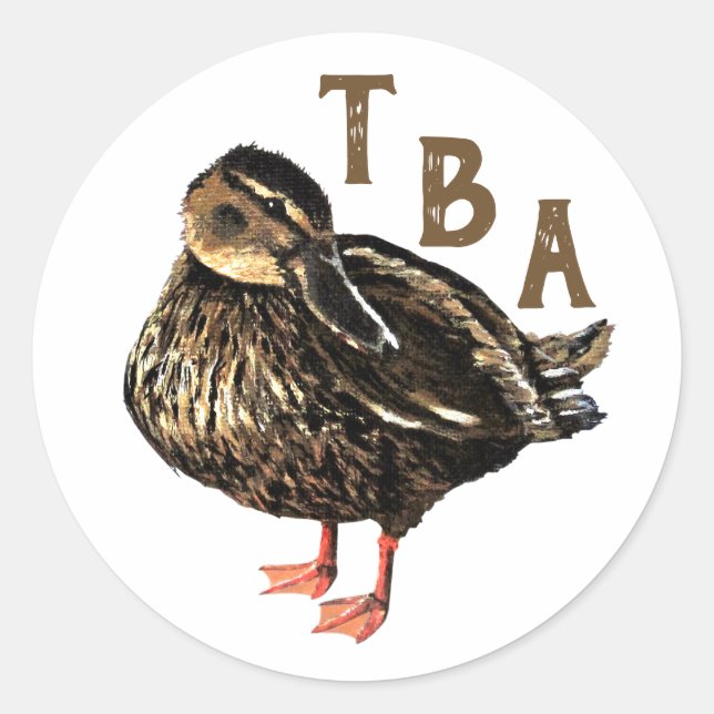 Entensticker Runder Aufkleber (Vorderseite)