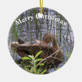 Entenvorgeburt in den Schildkröten Keramik Ornament