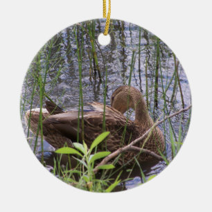 Entenvorgeburt in den Schildkröten Keramik Ornament