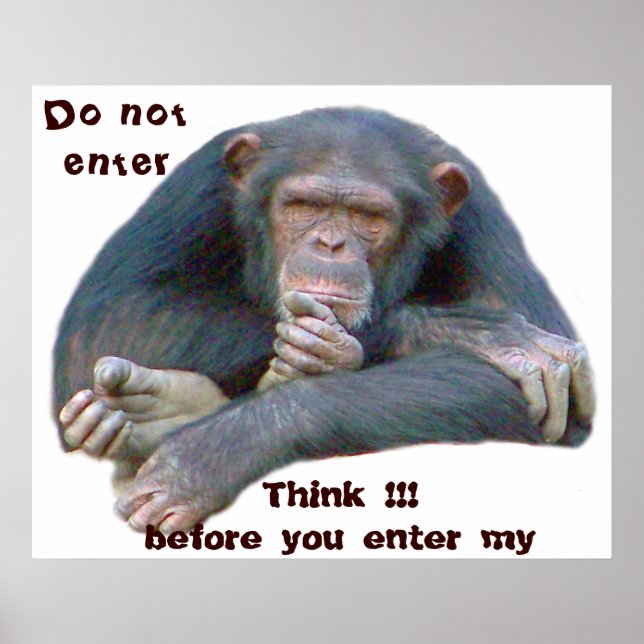 Enter_Poster Poster (Vorne)