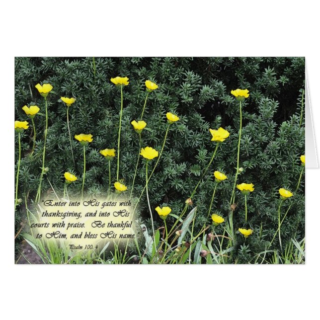 EnterintoHisgatesZazzle (Vorderseite (Horizontal))
