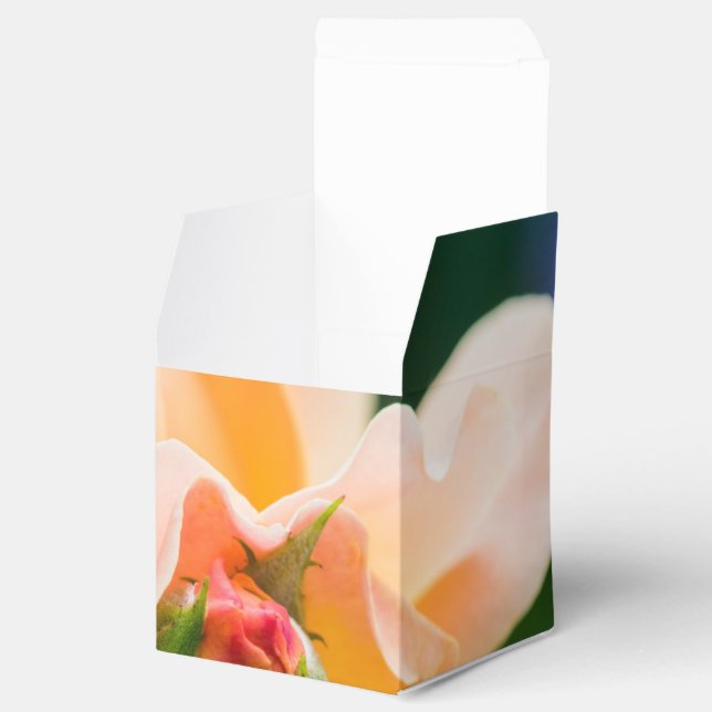 Entfaltung der Wunschbox Geschenkschachtel (Geöffnet)