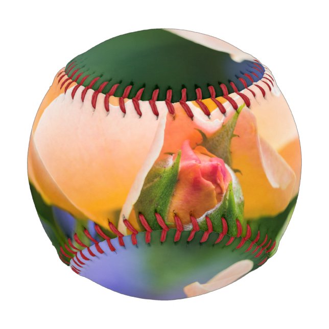 Entfaltung des Wunsches Baseball (Vorderseite)