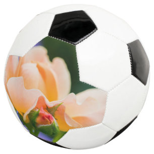 Entfaltung des Wunsches Fußball