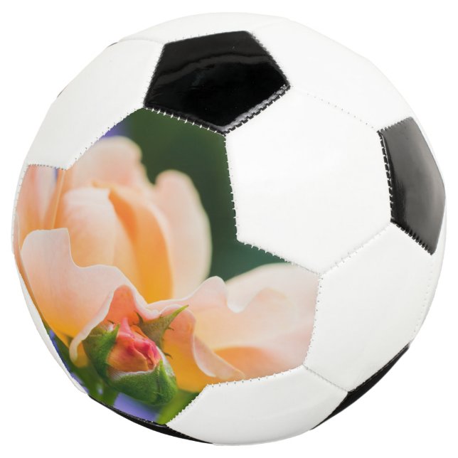 Entfaltung des Wunsches Fußball (Dreiviertel)