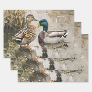 Entfärbung von Enten und Mallard Geschenkpapier Set