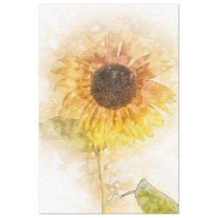 Entfärbungspapier für Sonnenblumen Seidenpapier