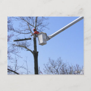 Entfernen der Struktur ~ Postkarte