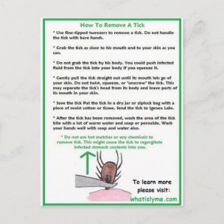 Entfernen einer Tick Instructions Card für Lyme Postkarte