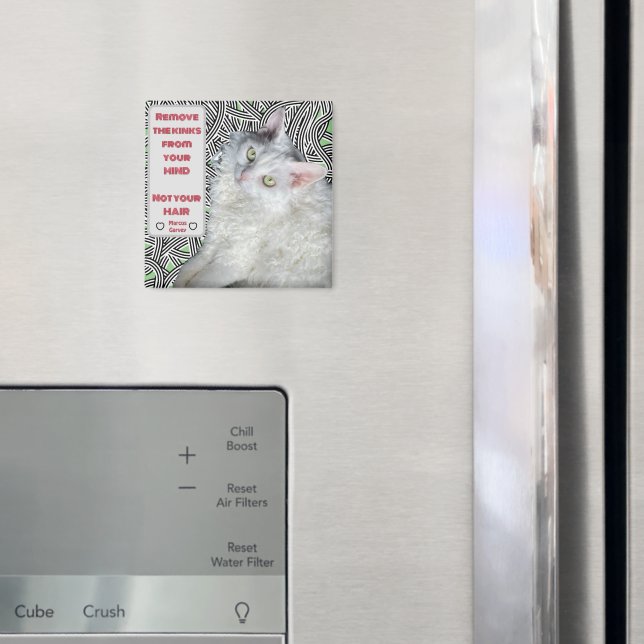 Entfernen Sie die Kinks aus Ihrem Kopf, nicht aus  Magnet (In Situ (Kühlschrank))