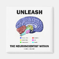 Entfesseln Sie den Neurowissenschaftler im Inneren