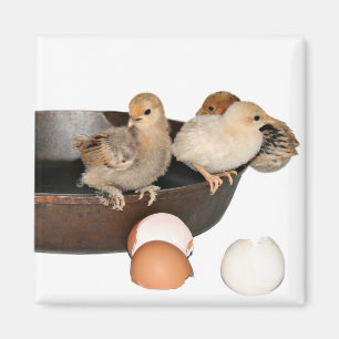 entgangenes Frühstück Magnet