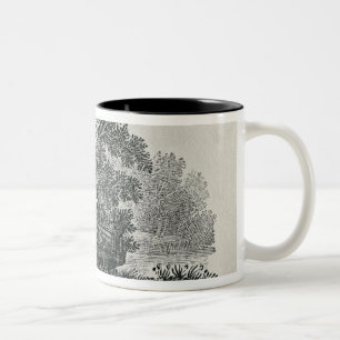 Entgehender Fox, 'die allgemeine Geschichte von Zweifarbige Tasse