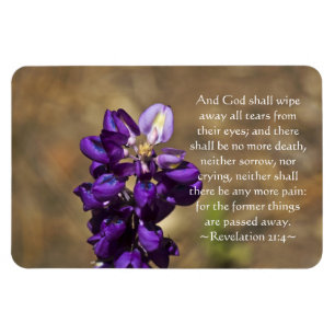 Enthüllungs-21:4 Magnet