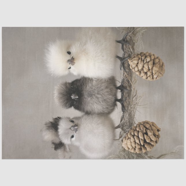 Entkoppeln von Fluffy-Chicks auf einer Zweignieder Seidenpapier (Vorderseite)