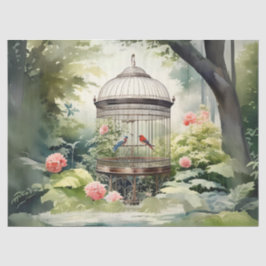 Entkopplung des viktorianischen Vogelkäfers Seidenpapier