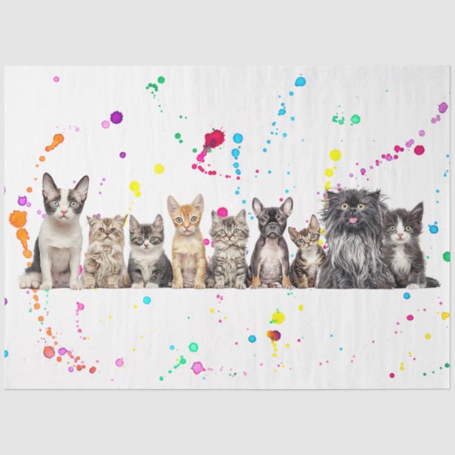 Entkopplung von Hunden und Katzen in einer Reihe Seidenpapier (Vorderseite)