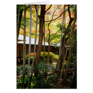 Entlang dem Weg des Philosophen