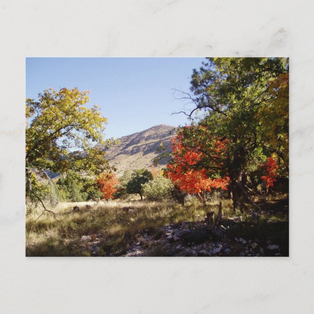 Entlang der Straße - Grassland Postkarte (Vorderseite)